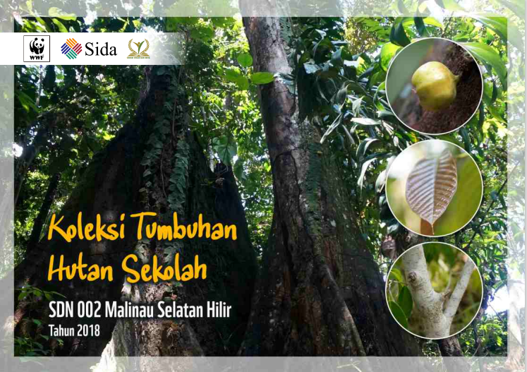KOLEKSI TUMBUHAN HUTAN SEKOLAH